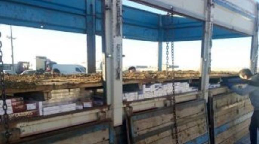 Şanlıurfa&rsquo;da Ka&ccedil;ak&ccedil;ılığa Ge&ccedil;it Yok