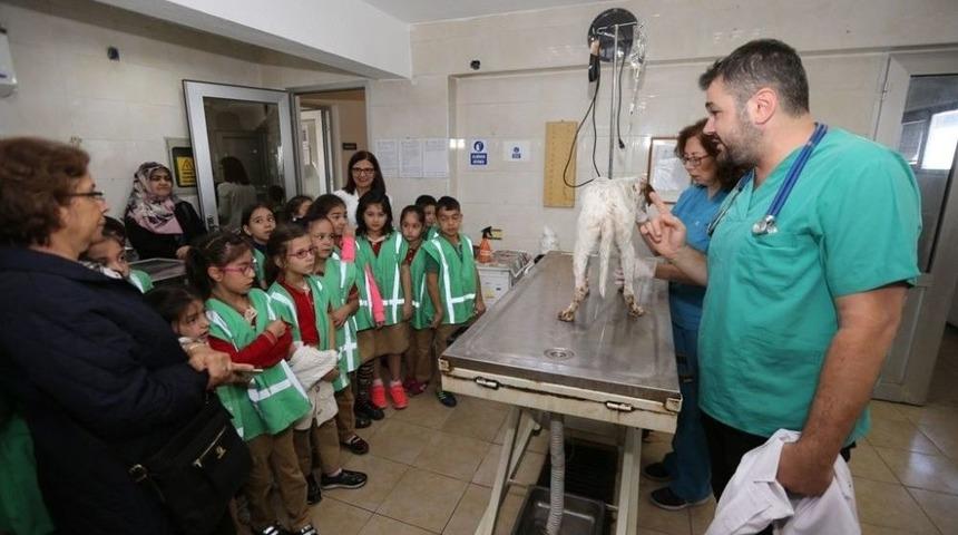 D&uuml;nya Hayvanları Koruma G&uuml;n&uuml; &Ouml;ğrencilerle Kutlandı