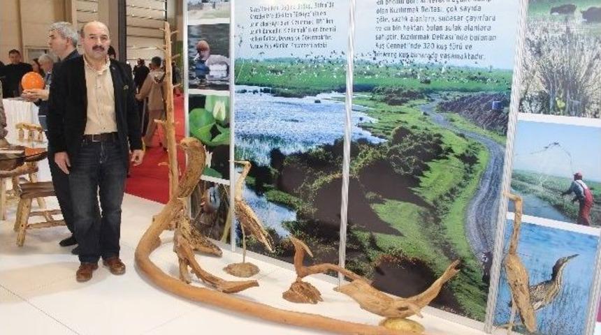 Ağa&ccedil;ların Pıcasso&rsquo;su Emitt&rsquo;te