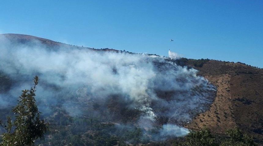 Sultanhisar&rsquo;da Kestanelik Yangını