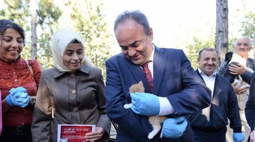 &Ccedil;orumlu &Ouml;ğrencilerden Hayvan Barınağına Ziyaret