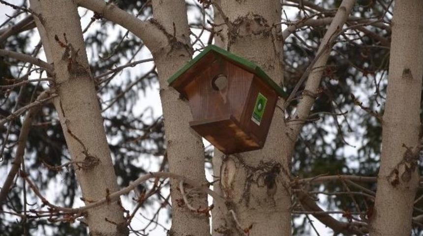 Ereğli’de Kuşlar Yeni Yuvalarına Kavuştu