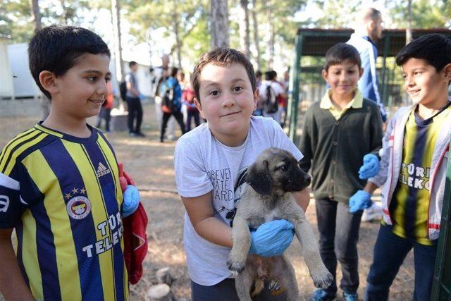 Çorumlu Öğrencilerden Hayvan Barınağına Ziyaret