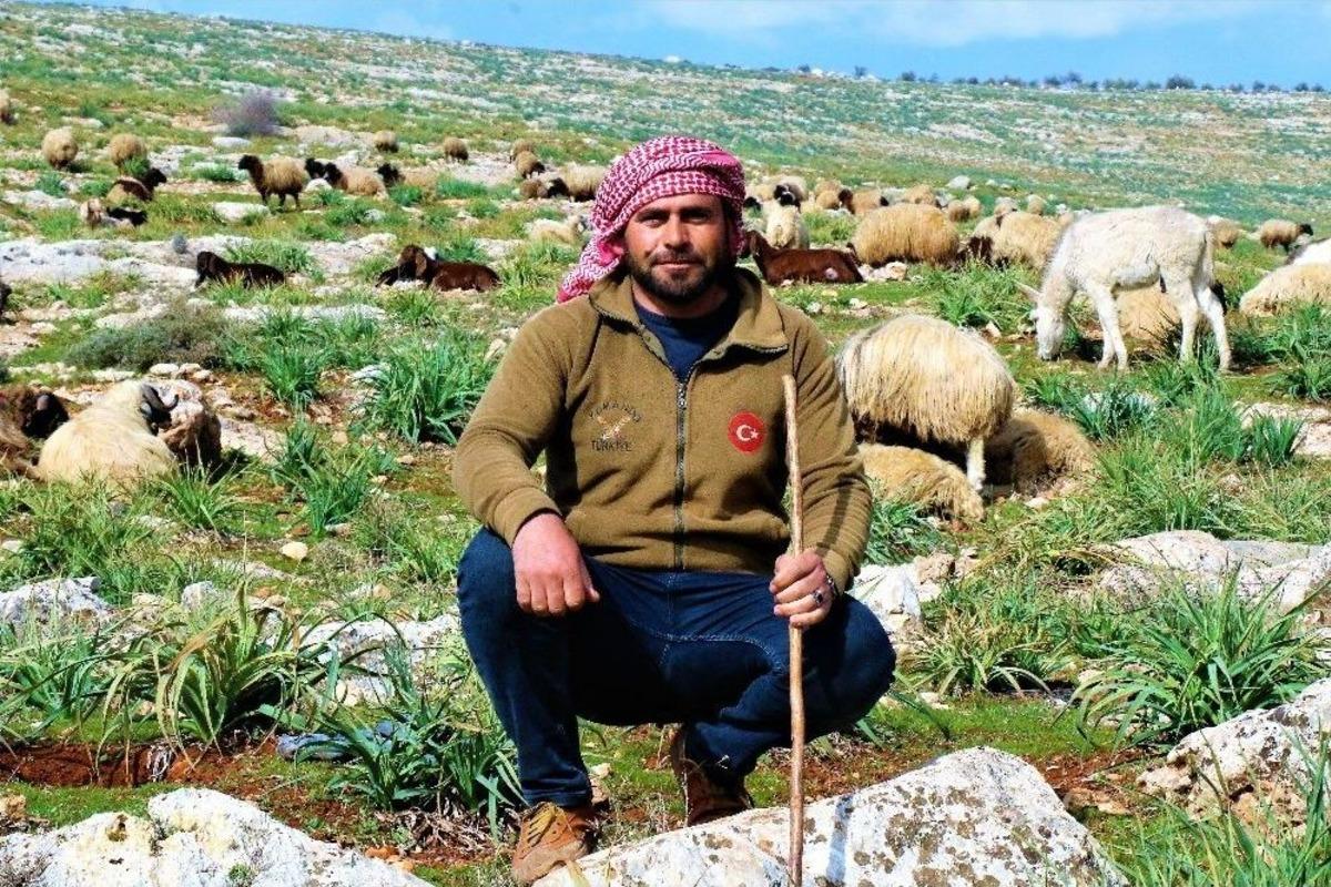 (&ouml;zel Haber) &Ccedil;atışmaların G&ouml;lgesinde &Ccedil;oban Olmak