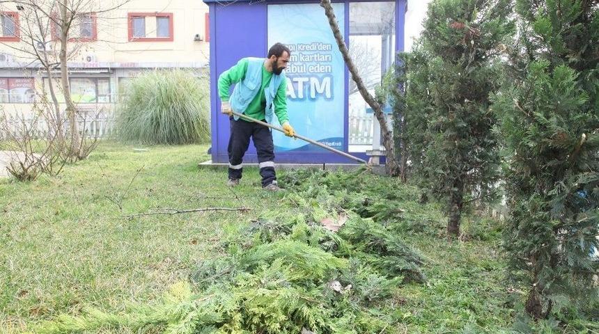 Başiskele Belediyesi Ekipleri, Yeşil Bir Kent İ&ccedil;in &Ccedil;alışıyor
