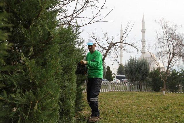 Başiskele Belediyesi Ekipleri, Yeşil Bir Kent İçin Çalışıyor