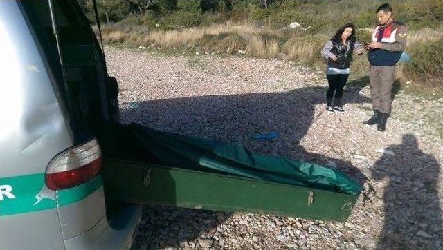 Dat&ccedil;a&rsquo;da Par&ccedil;alanarak Kıyıya Vuran Ceset Bulundu 1