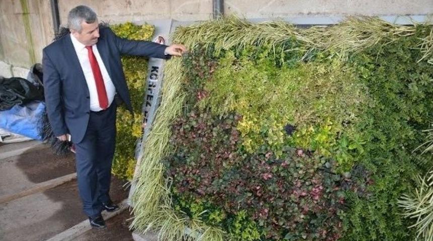 Körfez Dikey Bahçelerle Yeniden Şekilleniyor