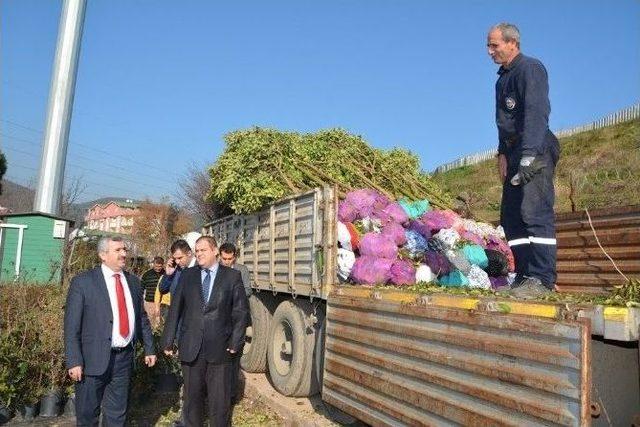 Körfez Dikey Bahçelerle Yeniden Şekilleniyor 1