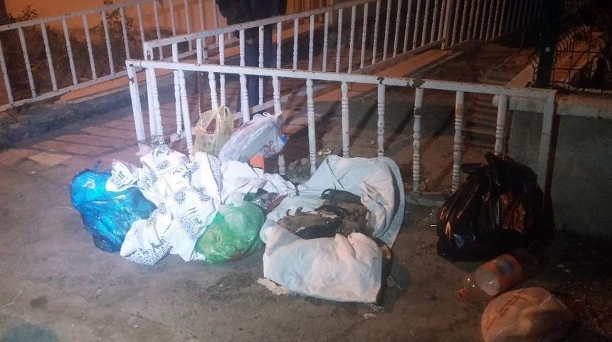 Hayvan Haklarını Koruma G&uuml;n&uuml;&rsquo;nde Hayvan Katliamı