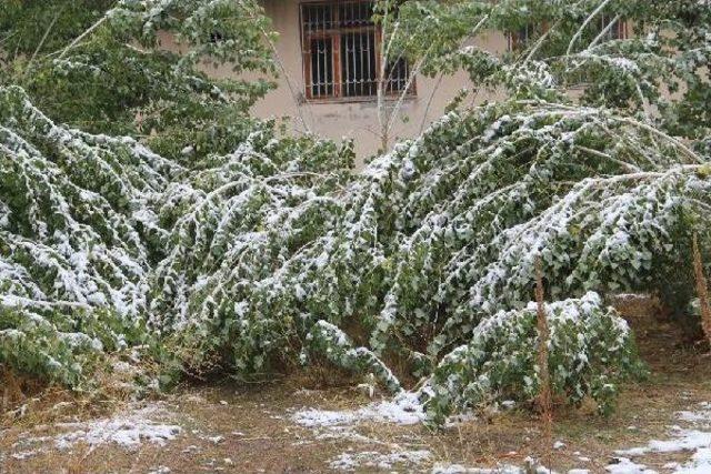 Başkale’Ye Kış Erken Geldi