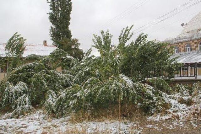 Başkale’Ye Kış Erken Geldi