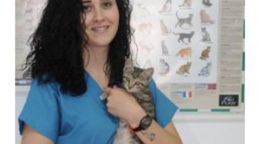 Bu Hayvanları G&ouml;rd&uuml;ğ&uuml;n&uuml;zde &lsquo;donup&rsquo; Kalmayın