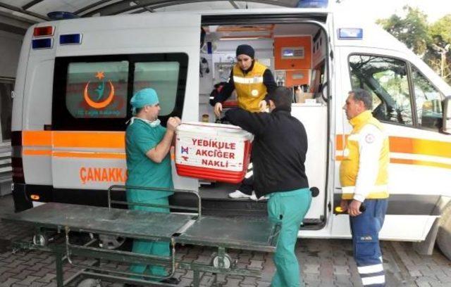 Beyin Kanaması Geçiren Genç Organlarıyla Hayat Verecek 1