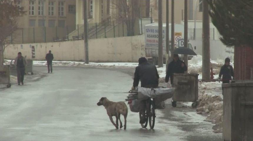 K&ouml;peği Bisikletin Arkasına Bağlayarak Koşturdu