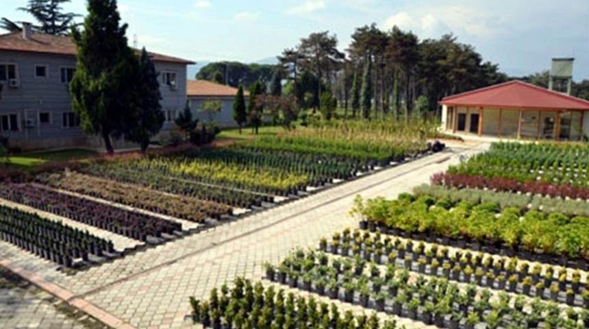 Samsun&rsquo;da Bu Yıl 4,8 Milyon Fidan &Uuml;retildi