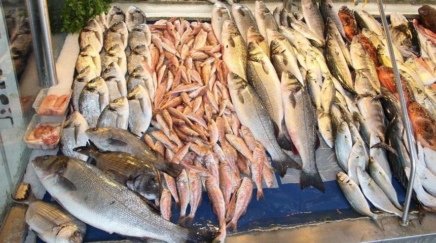İspanya&rsquo;da T&uuml;rk Balığına Yoğun İlgi
