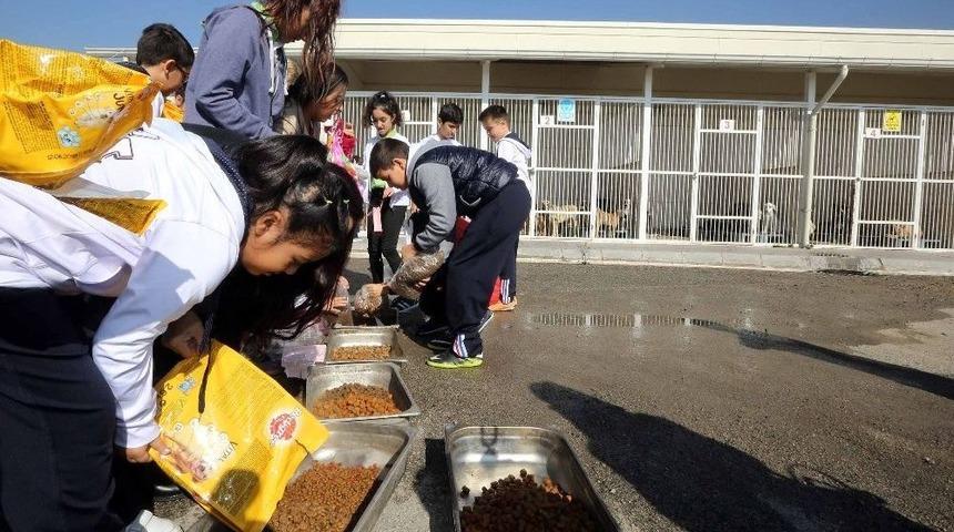 Yenimahalleli &Ccedil;ocuklara Hayvan Sevgisi Aşılandı
