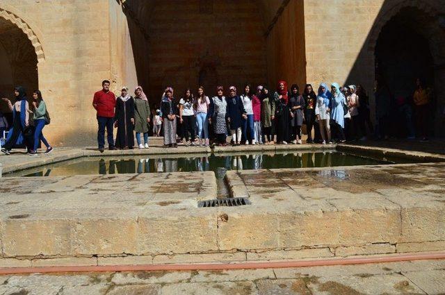 Ahlat&rsquo;ta &rsquo;şehirler Ve K&uuml;lt&uuml;rler-y&ouml;relerimiz&rsquo; Projesi 1