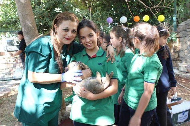 K&uuml;&ccedil;&uuml;k &Ouml;ğrencilerin B&uuml;y&uuml;k Hayvan Sevgisi 2