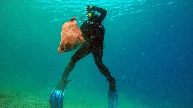 Başkan Kocadon Deniz Dibine Dalıp Çöp Topladı