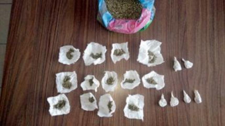 Bonzai Satıcısı Yakalandı