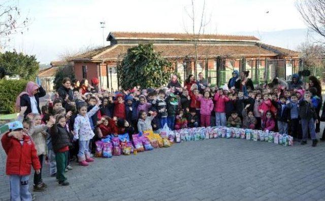 Harçlıklarını Biriktirip Can Dostları Için Mama Ve Süt Aldılar