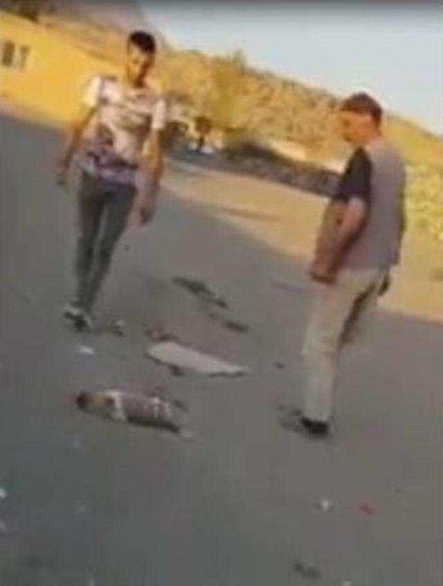 Yavru K&ouml;peğe Tekme Atan Adam Sosyal Medyayı Ayağa Kaldırdı 1