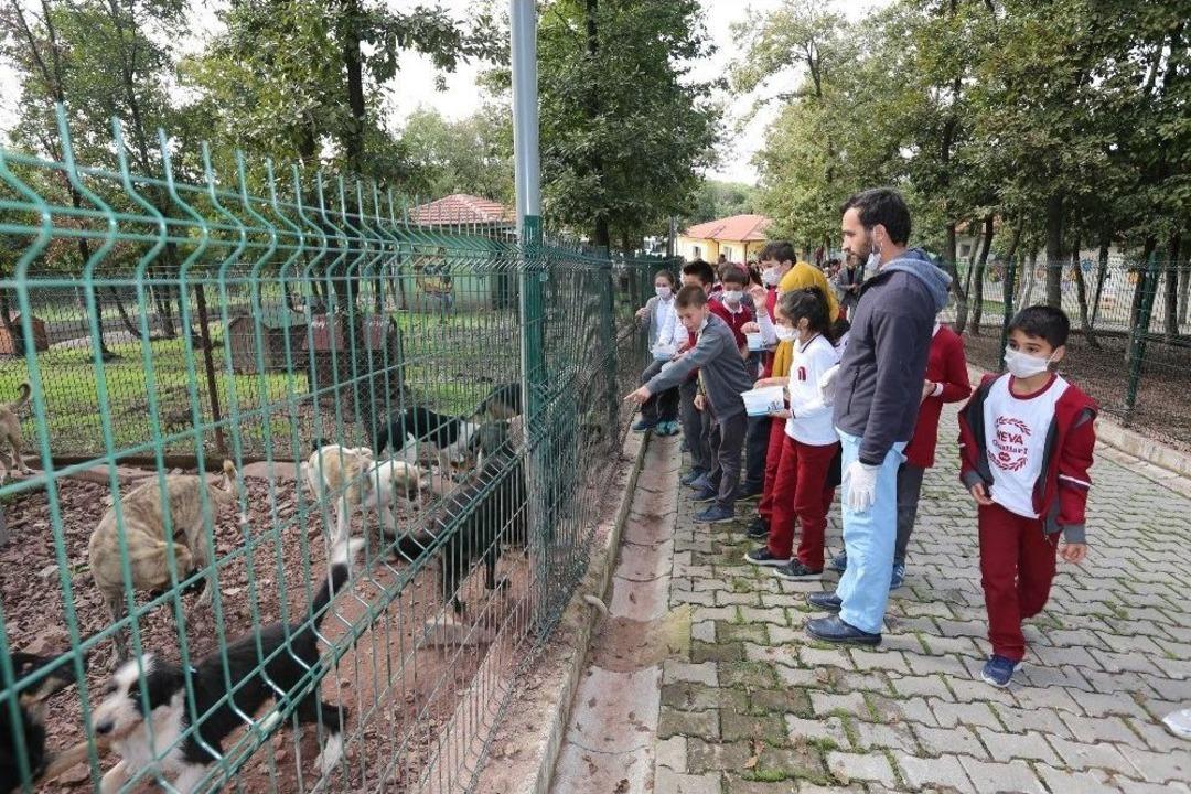 Minik &Ouml;ğrencilerden Sokak Hayvanları Ge&ccedil;ici Bakımevi&rsquo;ne Ziyaret