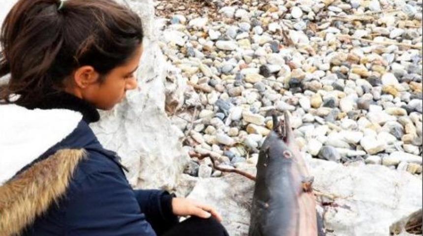 Zıpkınla Vurdukları Yavru Yunusu Pişirip Yemeye &Ccedil;alışmışlar