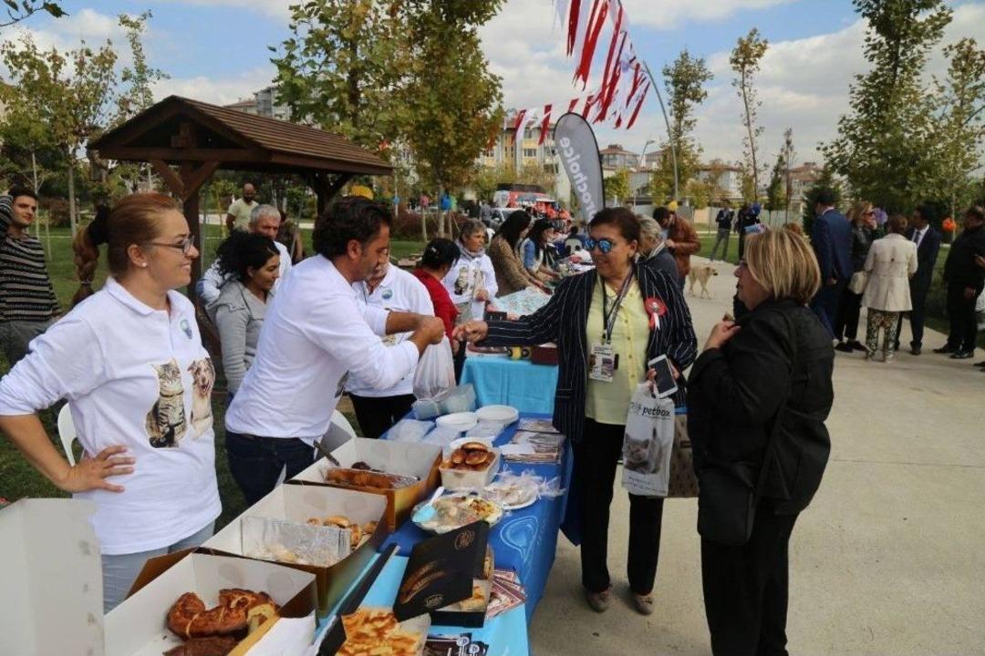 B&uuml;y&uuml;k&ccedil;ekmece&rsquo;de Sokak Hayvanları Yararına Kermes