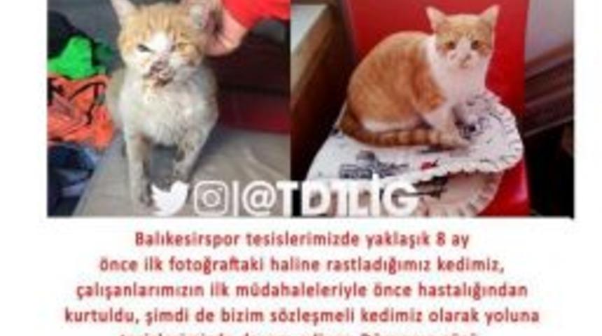 Balıkesirspor Altyapı Ekibinden &Ouml;rnek Davranış