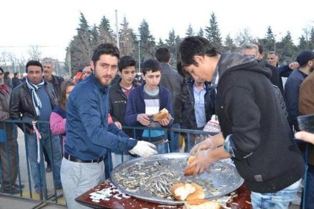 Horon Festivali’Nde 2.5 Ton Hamsi Pişirilerek, Dağıtıldı