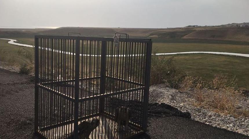 Atmaca Avcısına B&uuml;y&uuml;k Ceza