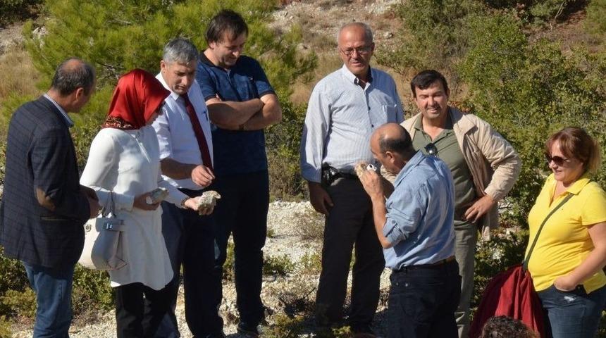 Fosil Ağa&ccedil; Alanında Bilimsel İnceleme Yapıldı