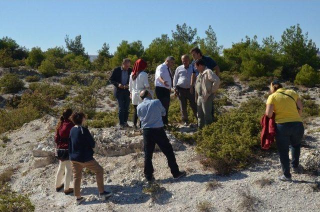 Fosil Ağa&ccedil; Alanında Bilimsel İnceleme Yapıldı 1