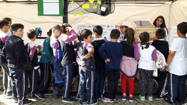 Beykoz Bilim Şenliği’nde Öğrenciler Projelerini Sergiledi