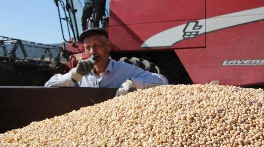 Nohut &Ccedil;ift&ccedil;inin Y&uuml;z&uuml;n&uuml; G&uuml;ld&uuml;rd&uuml;