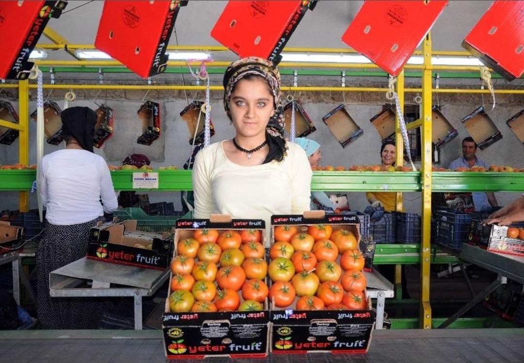 Rusya&rsquo;nın Domates İthalatına Mersin Talip
