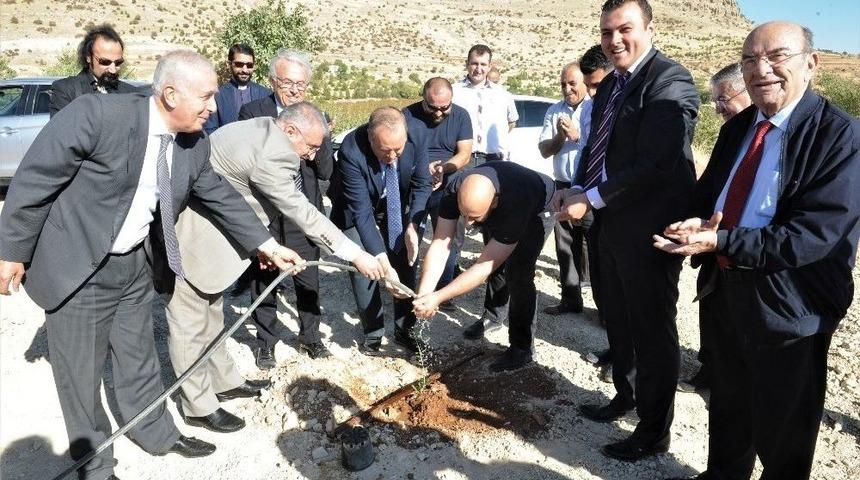 Mardin&rsquo;de &lsquo;zeytin Gen&rsquo; Bah&ccedil;esi Kuruldu