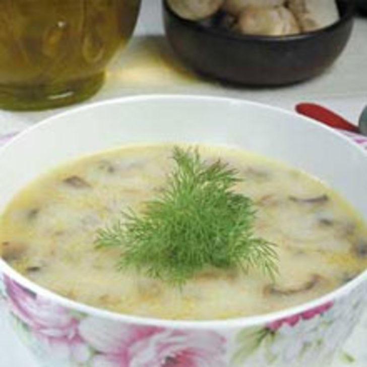 KREMALI MANTAR ÇORBASI KREMALI MANTAR ÇORBASI