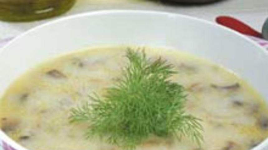 Kremalı Mantar &Ccedil;orbası