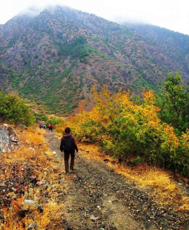 Doğa Yürüyüşü Etkinlikleri Başladı