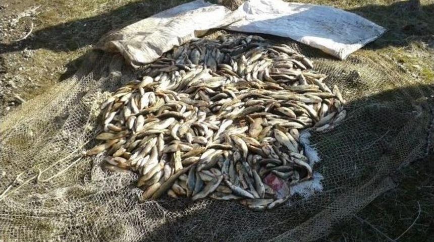 Ka&ccedil;ak Avlanan Balık&ccedil;ılar Jandarmaya Yakalandı