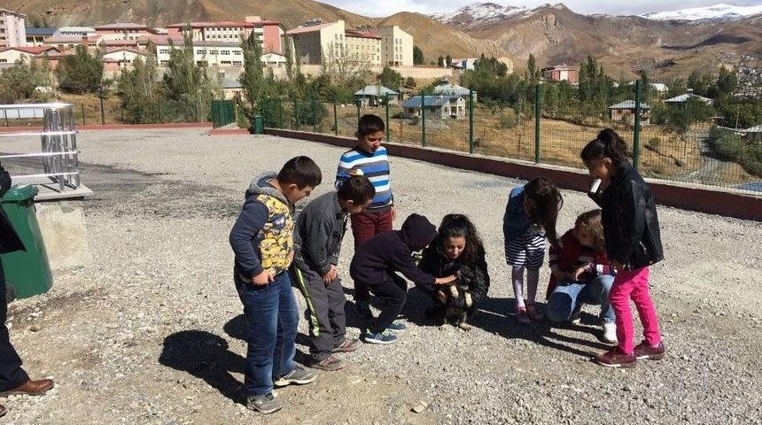 Hakkari&rsquo;de D&uuml;nya Hayvanları Koruma G&uuml;n&uuml; Etkinliği Yapıldı