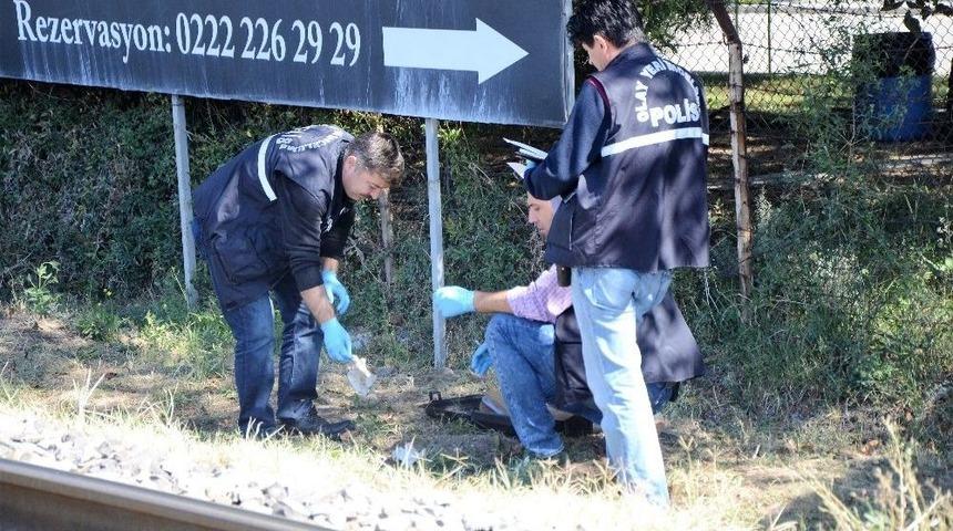 Ceviz Toplarken Elektrik Akımına Kapıldı