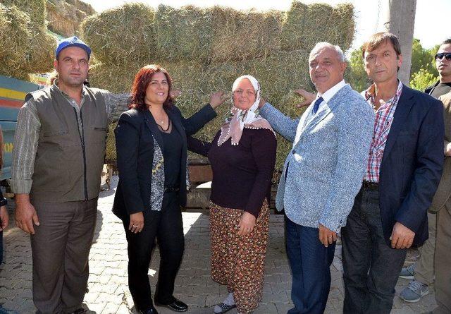 Başkan &Ccedil;er&ccedil;ioğlu&rsquo;ndan &Uuml;reticiye Kaba Yem Desteği 1