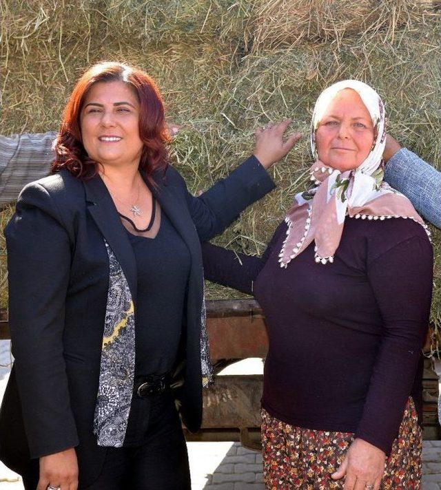 Başkan &Ccedil;er&ccedil;ioğlu&rsquo;ndan &Uuml;reticiye Kaba Yem Desteği 2