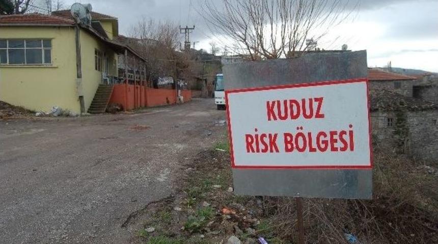 &Ccedil;anakkale&rsquo;de Kuduz Karantinası