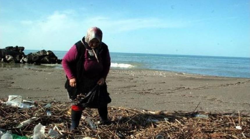 Sahile Vuran Dal Par&ccedil;aları Yakacakları Oluyor